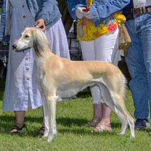Demeter