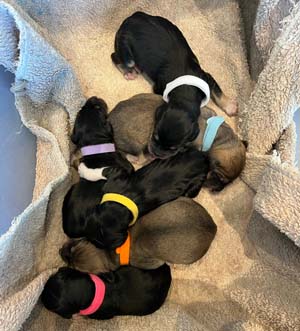 0 days old