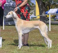 Demeter