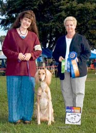 Solitaire in obedience
